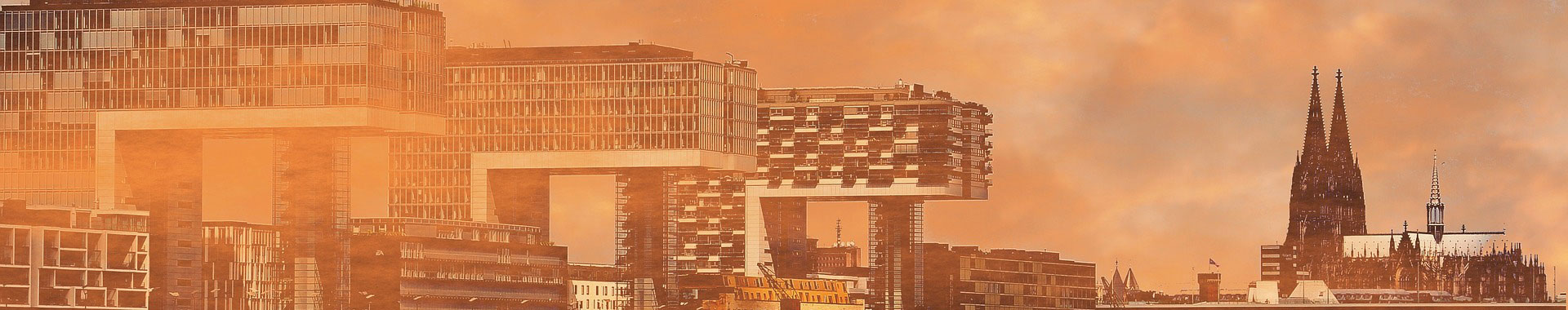 西双版纳经典案例